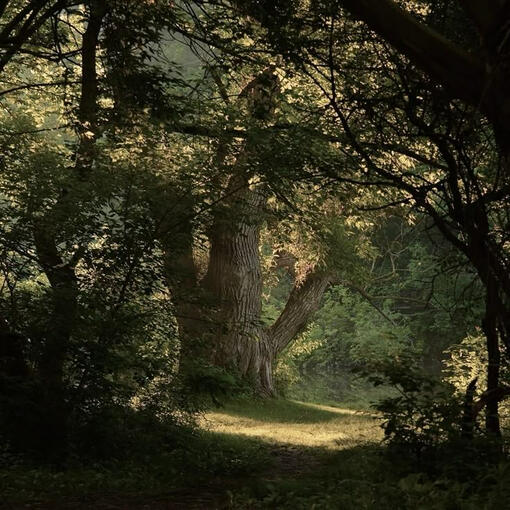 Carpe Diem. That's "Sieze the day" Carpe Diem. That's "Sieze the day"